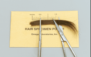 Laboratory-Hair-Test-Ruler