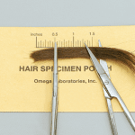 Hair test for drugs hair sample