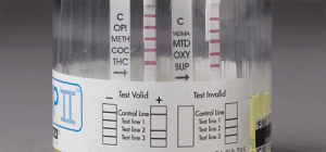 Rapid ToxCup 2 urine drug cup test