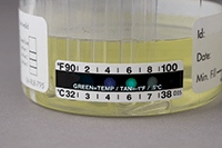 Rapid ToxCup 2 urine drug cup test