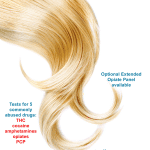 hair follicle drug test laboratory testing