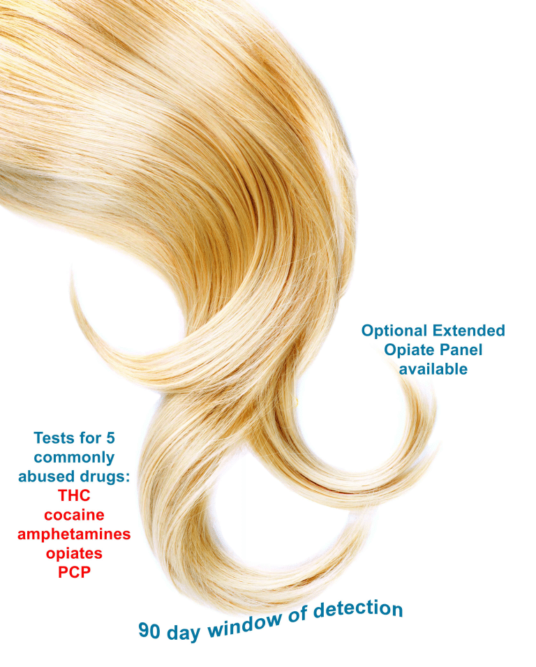 Hair Follicle Drug Test