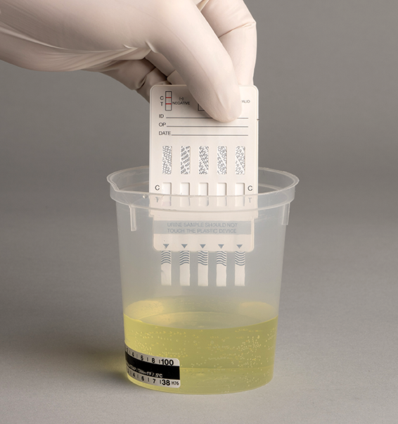 iScreen Urine Dip Drug Test - THC Panel - Instant Drug Test - A