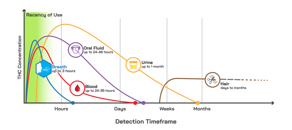Cannabix Marijuana Breath Test